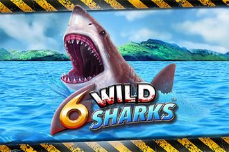 6 Wild sharks