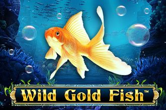 Wild Gold Fish